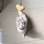 Diseño sin título (27)