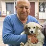 Diseño sin título (29)