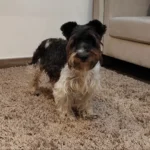 Activamos 2 sistemas