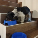 Apareció en nuestro radio