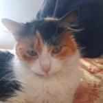 Desapareció en 20 minutos