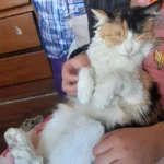 Orientamos la búsqueda