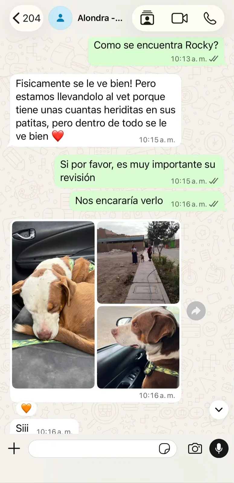 Caso de Rocky, familia de Alondra
