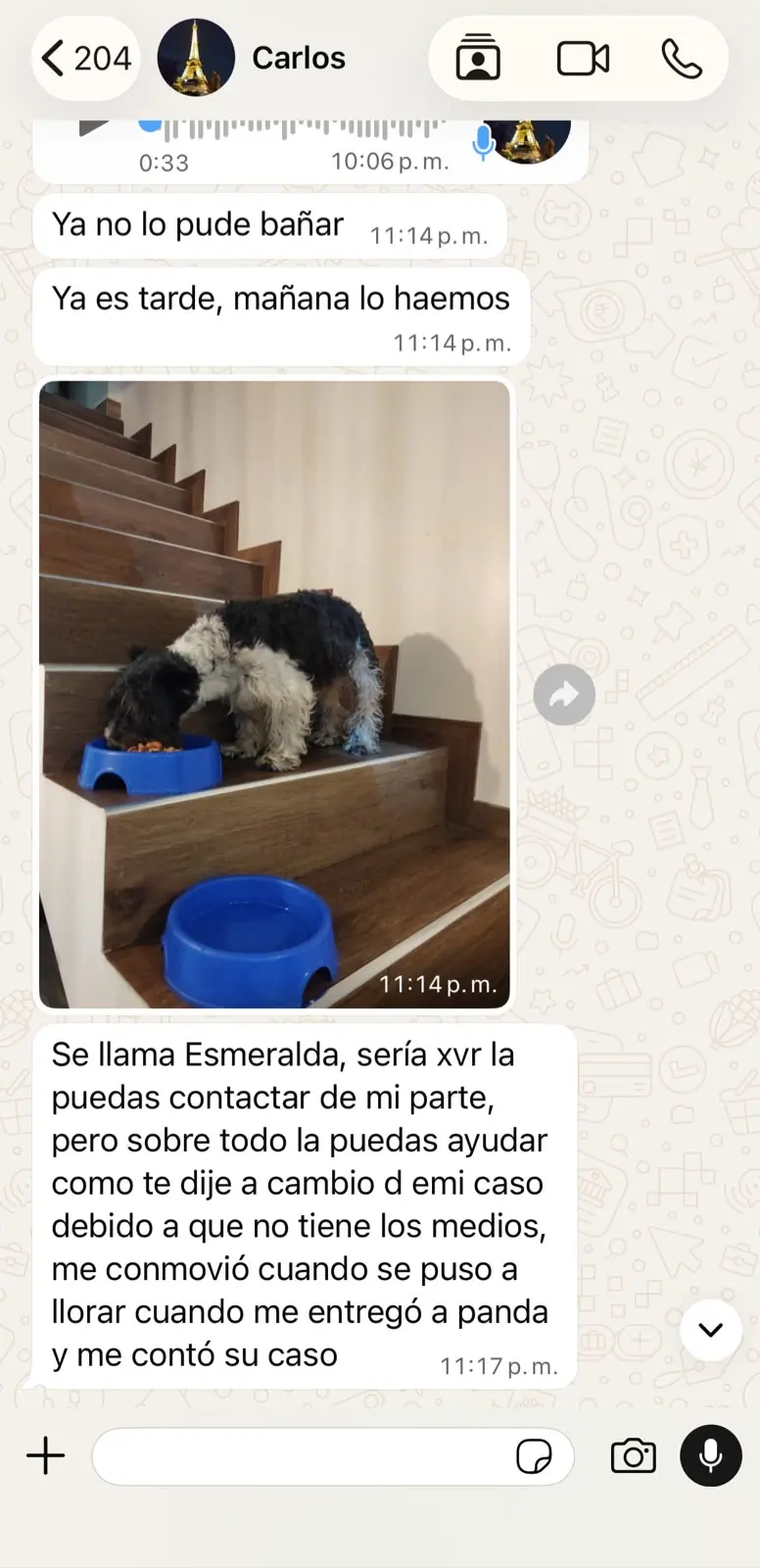 Caso de Panda, familia de Carlos