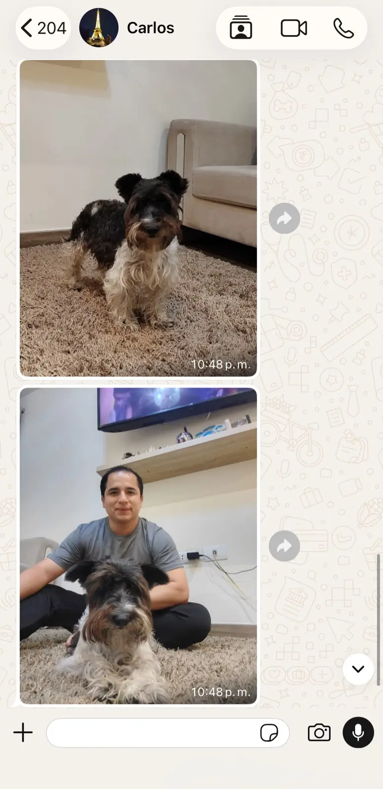 Caso de Panda, familia de Carlos