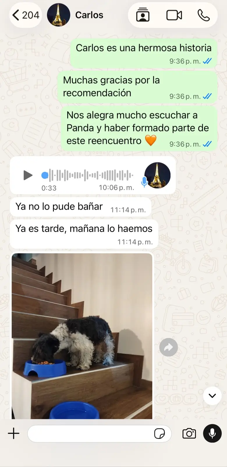 Caso de Panda, familia de Carlos
