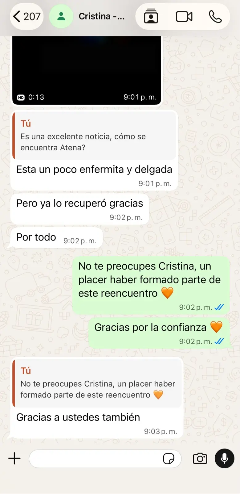 Caso de Atena, familia de Cristina