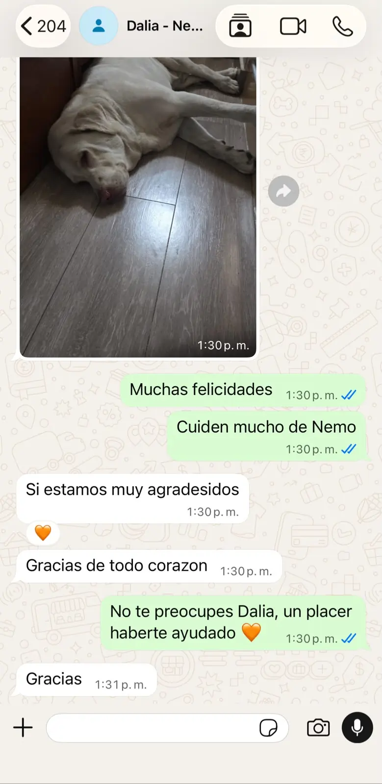 Caso de Nemo, familia de Dalia