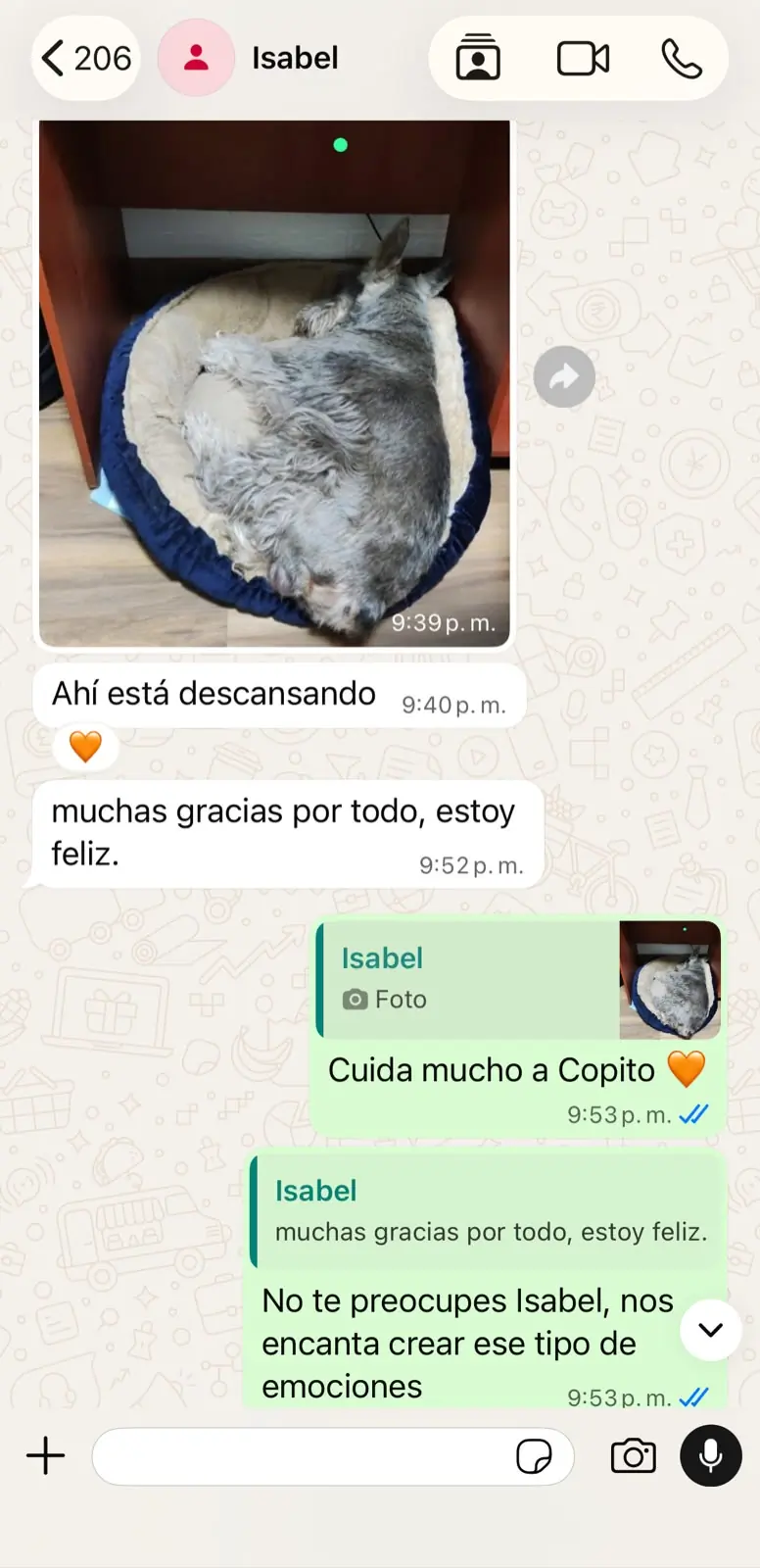 Caso de Copito, familia de Isabel