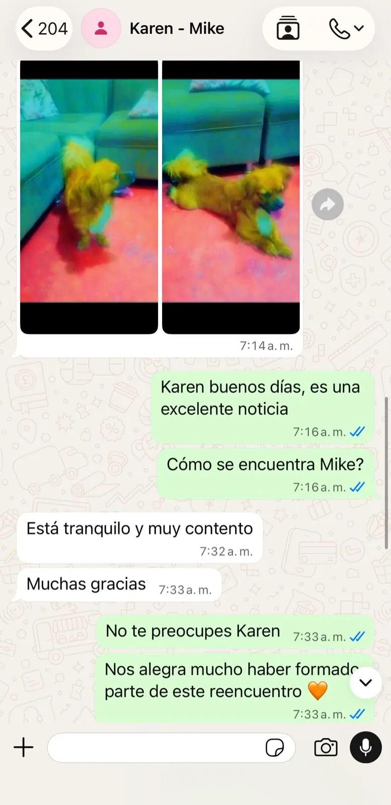 Caso de Mike, familia de Karen