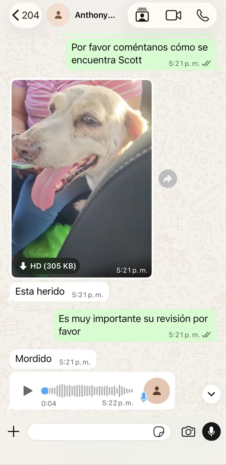 Caso de Scott, familia de Anthony