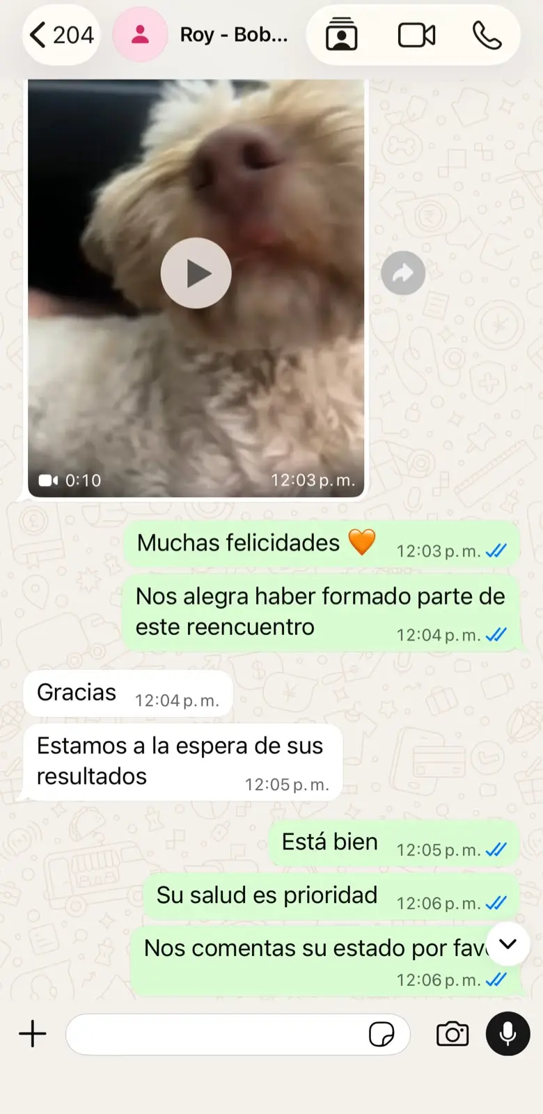Conversación con Roy sobre el reencuentro de Bobby, captura 2 de 2