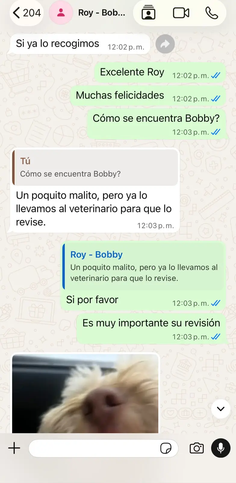 Conversación con Roy sobre el reencuentro de Bobby, captura 1 de 2