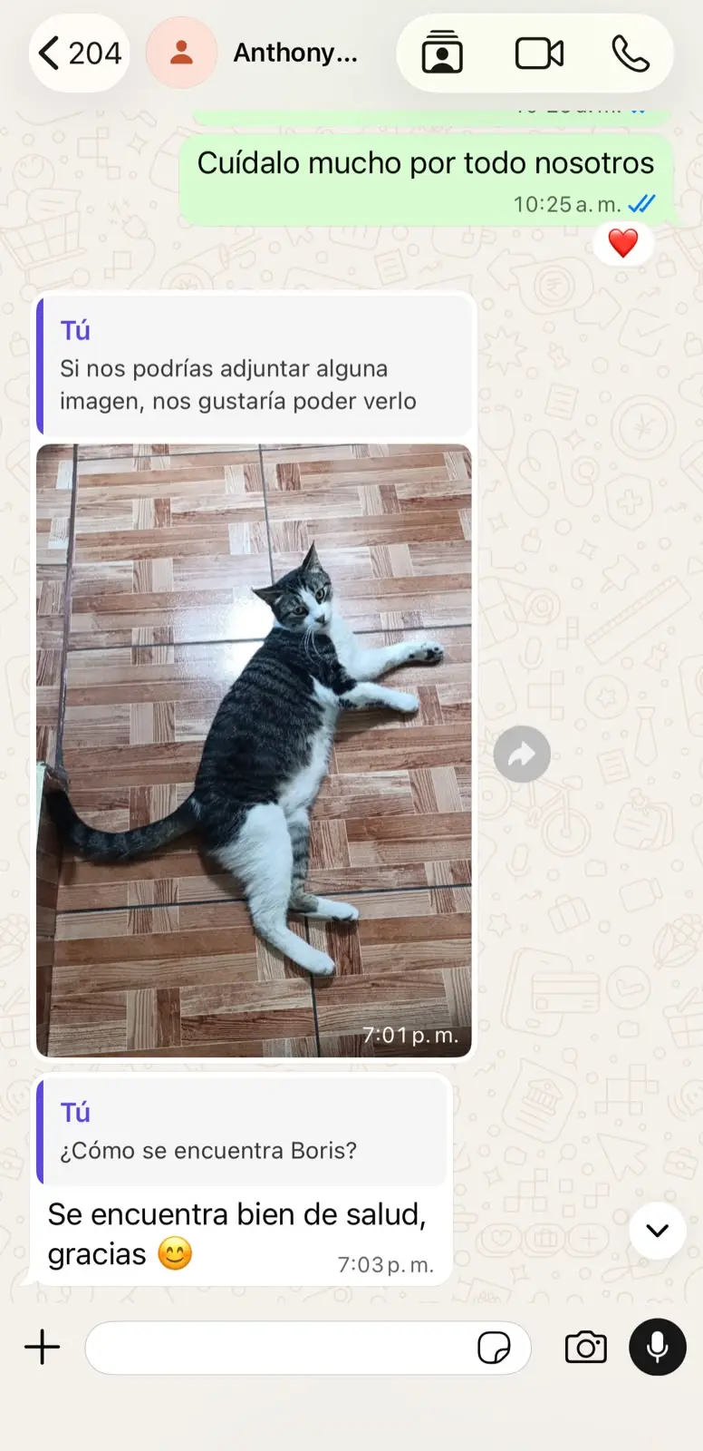 Conversación con Anthony sobre el reencuentro de Boris, captura 2 de 2