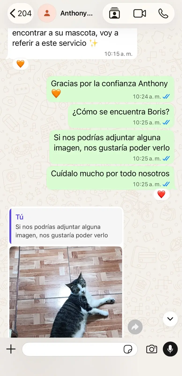 Conversación de Anthony sobre Boris