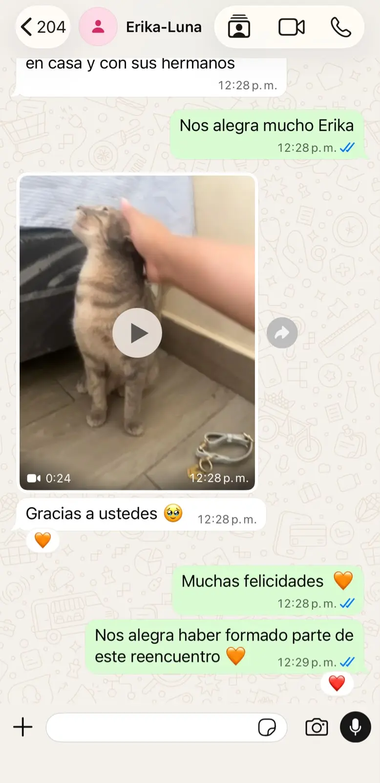 Conversación con Erika sobre el reencuentro de Luna, captura 2 de 2