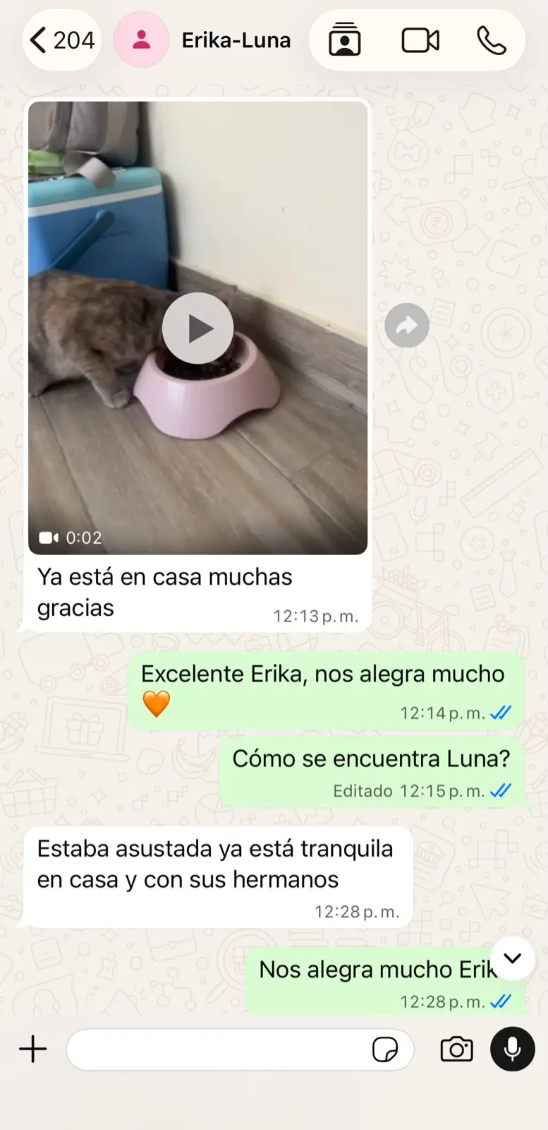 Conversación con Erika sobre el reencuentro de Luna, captura 1 de 2
