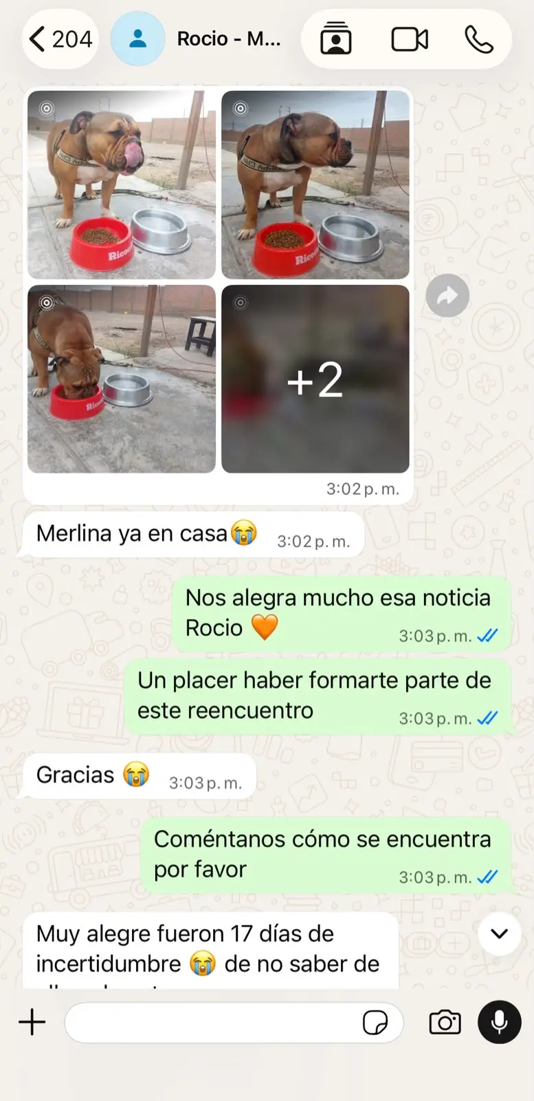 Conversación con Rocío sobre el reencuentro de Merlina, captura 1 de 2
