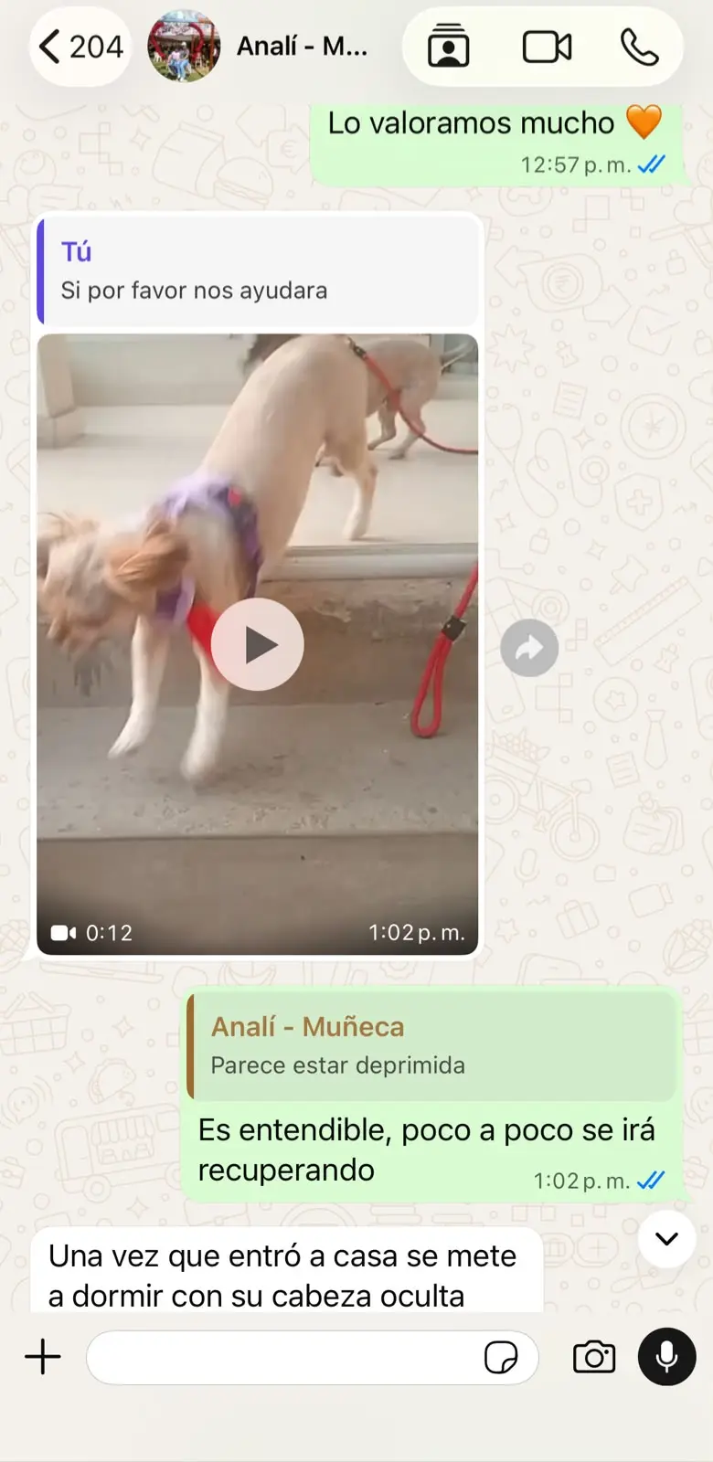 Conversación con Analí sobre el reencuentro de Muñeca, captura 2 de 2