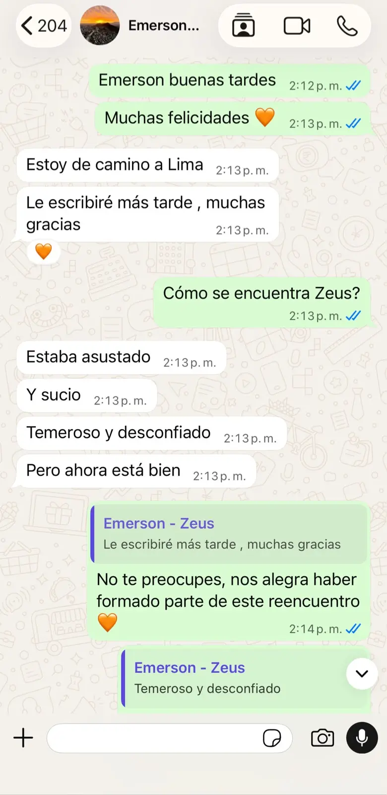 Conversación con Emerson sobre el reencuentro de Zeus, captura 1 de 2